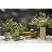 Диффузор ароматический Green tea & Pear blossom из коллекции Edge, 200 мл, бежевый